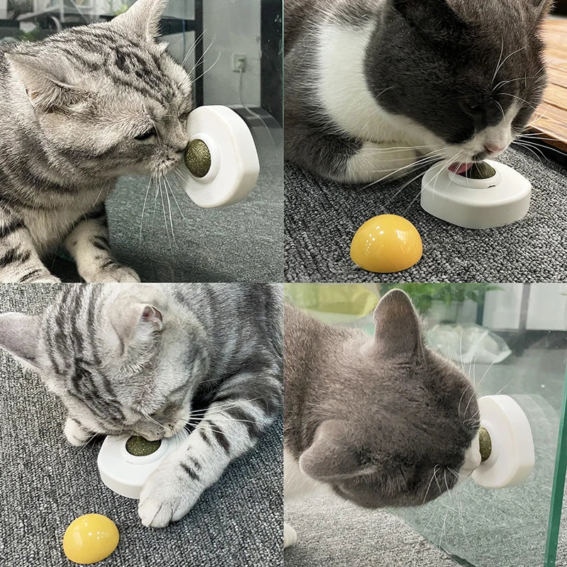 Catnip Ball - Egg Design Cleans Mouth Promotes Digestion