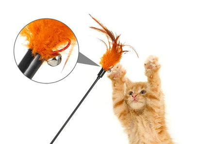 Cat Laser Pointer - Pattern Projection Pen with Feather Stick