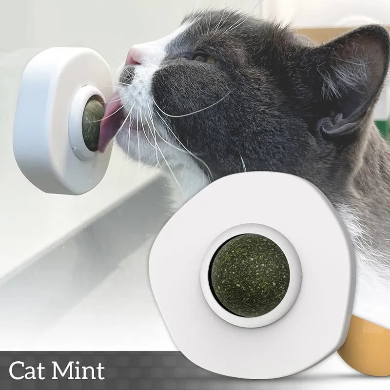 Catnip Ball - Egg Design Cleans Mouth Promotes Digestion