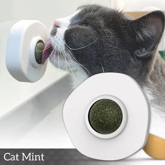 Catnip Ball - Egg Design Cleans Mouth Promotes Digestion